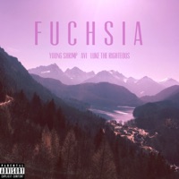 Fuchsia (with Avi & Luke the Righteous) - Single [with Avi & Luke The Righteous] - Single - Young Shrimp
