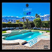 Trip - Single - Luney Ray