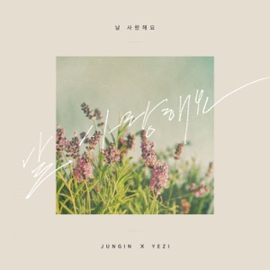 SR Project, Vol. 5 - Single