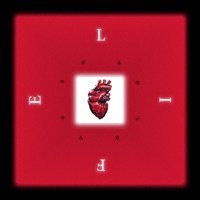 Life (feat. Jennifer Mosello) - Single - Paulo Vaz