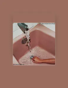 Listen to Good Times Floral Shop, watch music videos, read bio, see tour dates & more!