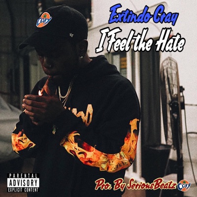 I Feel the Hate - Single