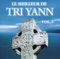 Au pied d'un rosier - Tri Yann An Naoned lyrics