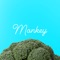 Monkey - S/ lyrics