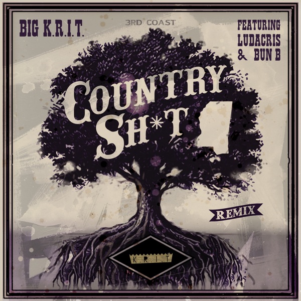 Country Sh*t (Remix) [feat. Ludacris & Bun B] - Single - Big K.R.I.T.