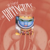 The Best of the Rippingtons artwork