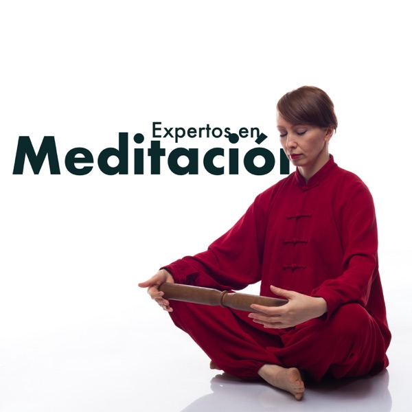 Expertos en Meditación: las Mejores 20 Canciones Instrumentales para Meditar