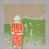 Camper Van Beethoven - Where the Hell Is Bill?