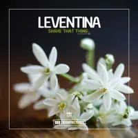 Shake That Thing — Leventina