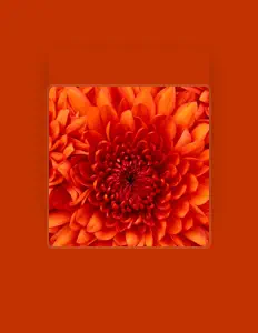 Божья Росаを聴いたり、ミュージックビデオを鑑賞したり、経歴やツアー日程などを確認したりしましょう！