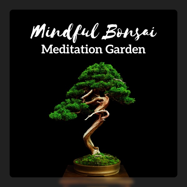Mindful Bonsai: Meditation Garden - The Zen for Beginners Sessions, Sitting Meditation, Zazen, Still in Silence