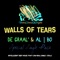 Walls of Tears - DE GRAAL' & al l bo lyrics