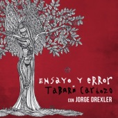 Ensayo y Error (feat. Jorge Drexler) artwork