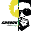 Repent - Shaggy