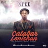 Calabar Lonishan (feat. Reminisce & Skales) - Single