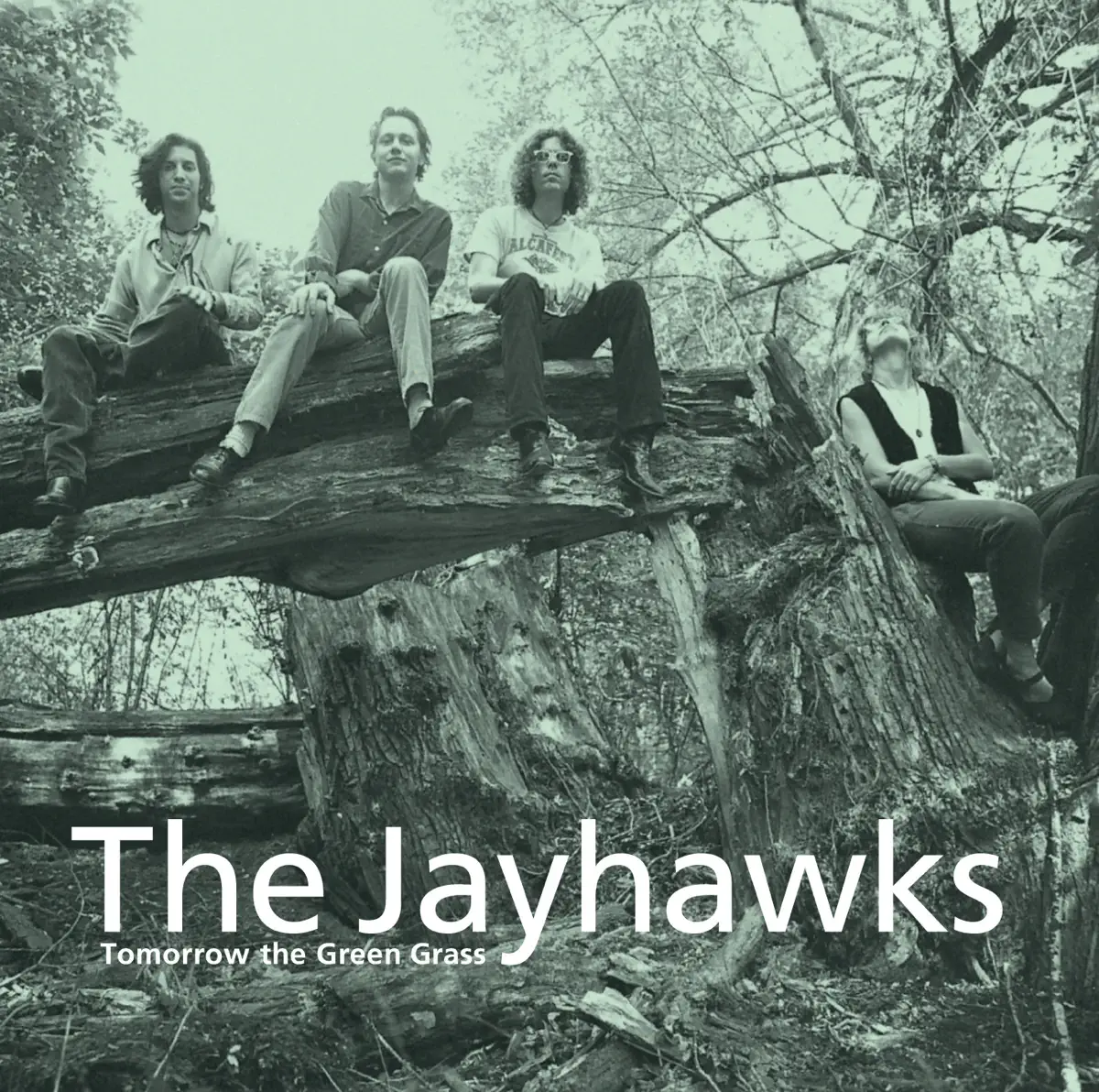 The Jayhawks - Tomorrow the Green Grass (1995) [iTunes Plus AAC M4A]-新房子