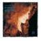 Love Me Like a Man - Bonnie Raitt lyrics