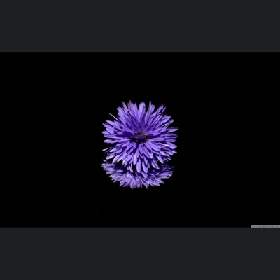 8 - EP
