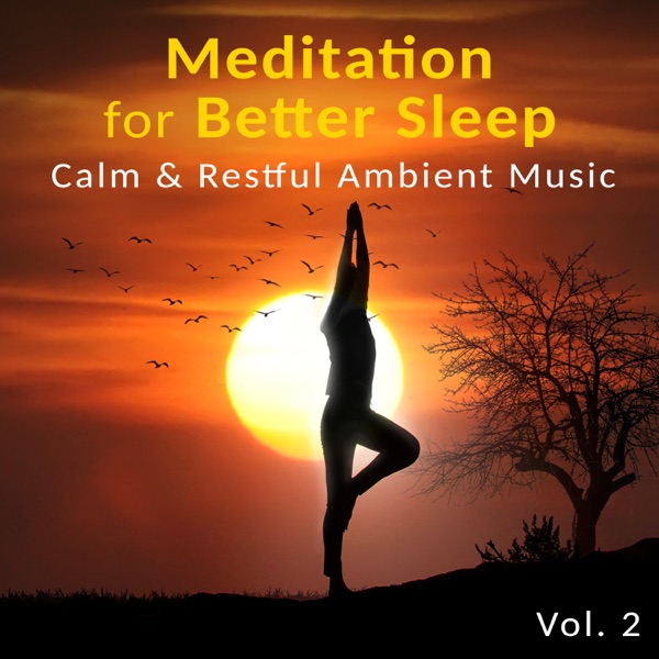 Meditation for Better Sleep Vol. 2: Calm & Restful Ambient Music – Natural Ocean, Piano, Zen Lullabies to Soothe Soul, Cure Insomnia
