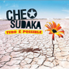 Mentira politika - Che Sudaka