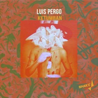 Ketumban - Single - Luis Pergo