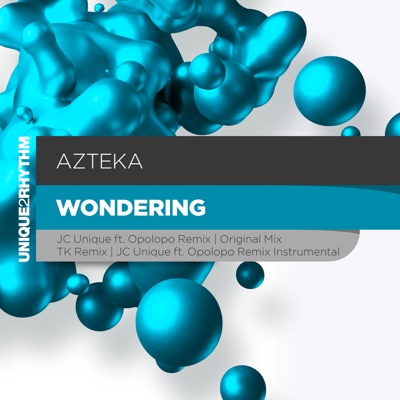 Wondering - EP