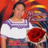 Veras La Gloria De Dios
