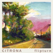 Flipturn - Hippies