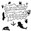 Animal Tracks artwork