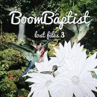 Brazilian Wax — BoomBaptist