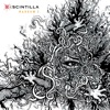 I:SCINTILLA . Sequins &amp; Pills