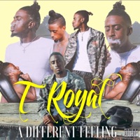 A Different Feeling - T Royal