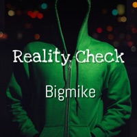 Reality Check - Single - Bigmike