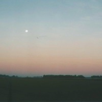 Elegance - Single - Ethan Patrick