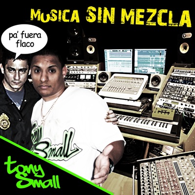 Música sin mezcla
