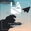 I Missing - Single