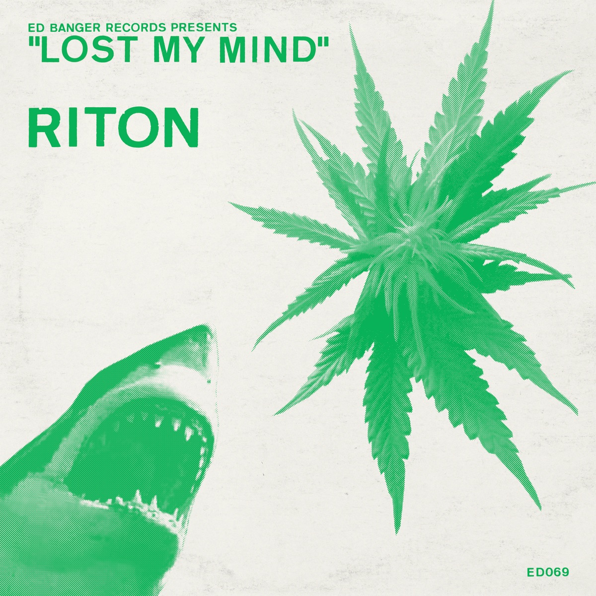 Fake Id Riton Album Cover