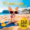 Malibu (DJ Mix) - Single