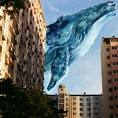 Whale artwork