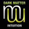 Intuition (Radio Edit) - Single