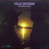 Field Division - Big Sur, Golden Hour