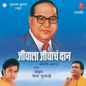 Jeevala Jeevaanch Daan, Vol. 2