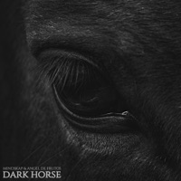 Dark Horse - Single - Mindskap & Angel De Frutos