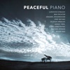 Jacques Ammon & Eckart Runge - Ambre (Arr. By Christian Badzura)