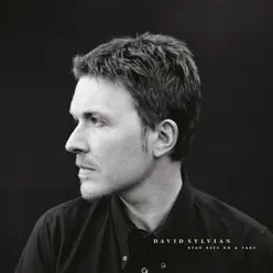 Dead Bees On a Cake (Deluxe Edition) - David Sylvian