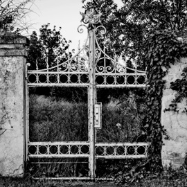 Gate (feat. Bitwvlf) Devon Rea