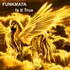 FUNKMATA - Is It True