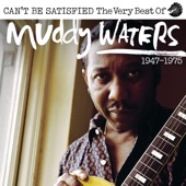 Muddy Waters - honey bee