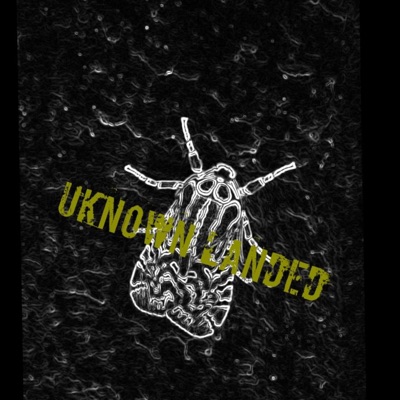 Uknown Landed - Single
