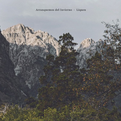 Líquen - Single